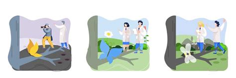 Observation 的图像结果