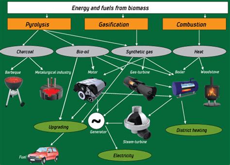 Bioenergy 的图像结果