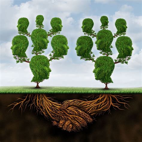 The Secret Underground Network: How Do Trees Talk To Each Other?