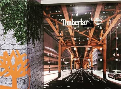 Loyal Sign 的图像结果