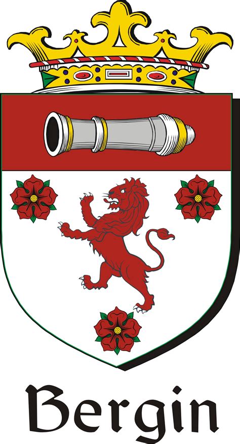 Bergin Family Crest / Irish Coat of Arms Image Download - Tradebit
