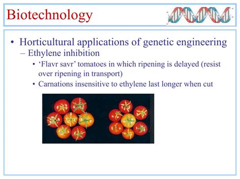 Biotechnology Bacteria 的图像结果