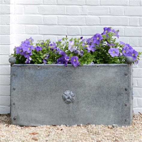 Galvanized Water Trough As Planters at Kevin Marsh blog