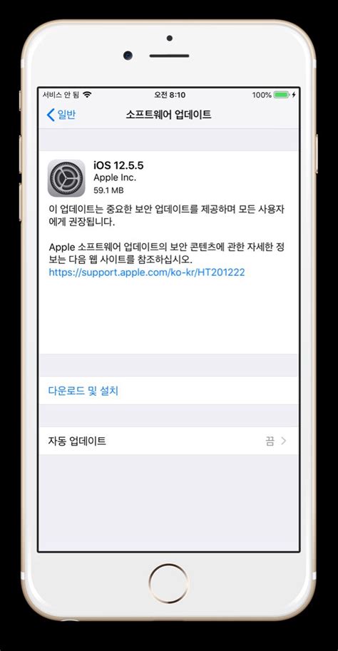 Image result for iOS 12.5.5