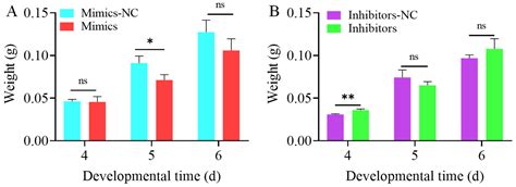 MicroRNA Novel-m0027-3p Negatively Regulates Jhamt Gene and Affects ...