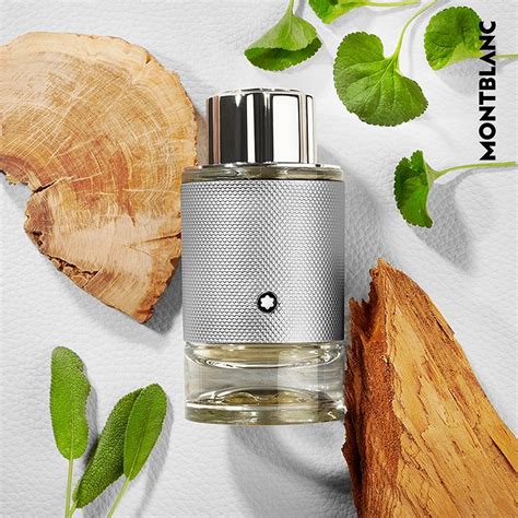 Explorer Platinum Eau De Parfum • 100g