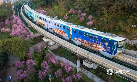 重庆开往春天的列车来了！穿越花海形成靓丽风景线-图片频道-中国天气网