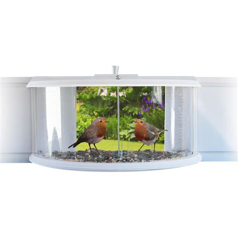 6 Best Window Bird Feeders For Up-Close Bird Watching!
