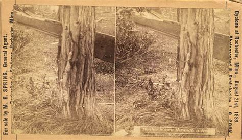 Rochester Tornado Aug 21 1883 Aftermath Photos
