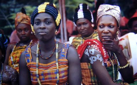 Interesting Genetics 的图像结果