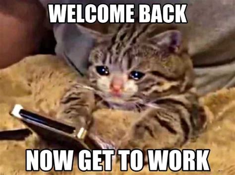 Welcome Back Meme Template | dev.onallcylinders.com
