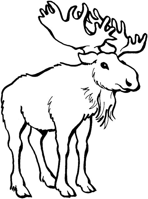 Moose with Antlers | Clipart Panda - Free Clipart Images