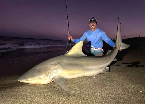 Florida Fisherman Releases Likely State-Record Bull Shark | Outdoor Life