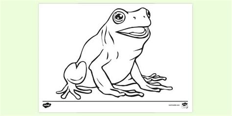 Frog Colouring | Colouring Sheets (teacher made) - Twinkl