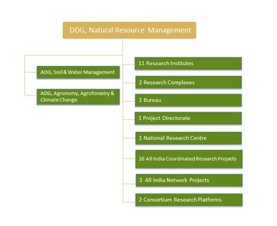 संगठनात्मक ढांचा | ICAR
