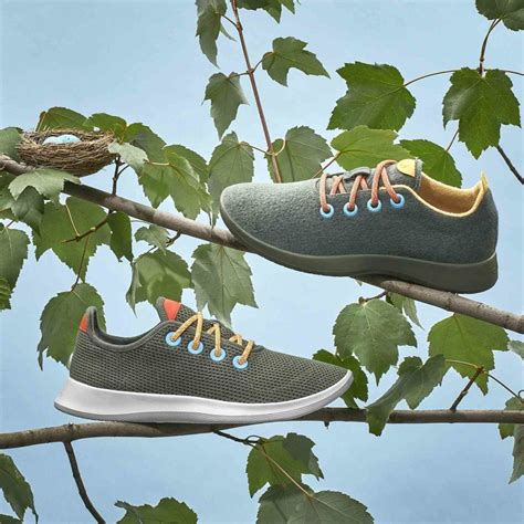 Allbirds Shoes Review - Must Read This Before Buying