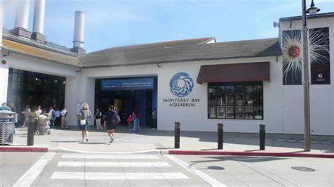 The Divine Dish » Monterey Bay Aquarium