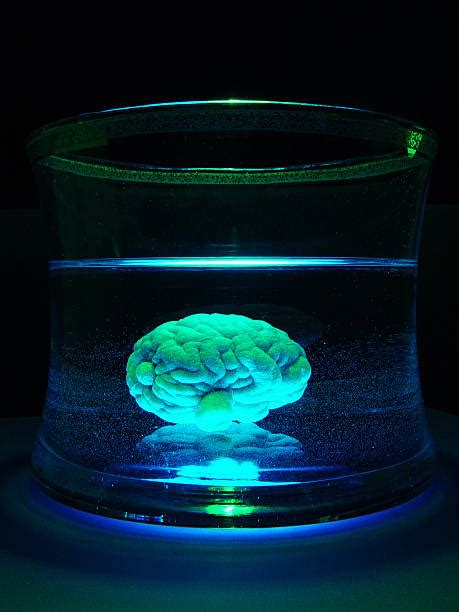 Image result for Alien Brainwashing