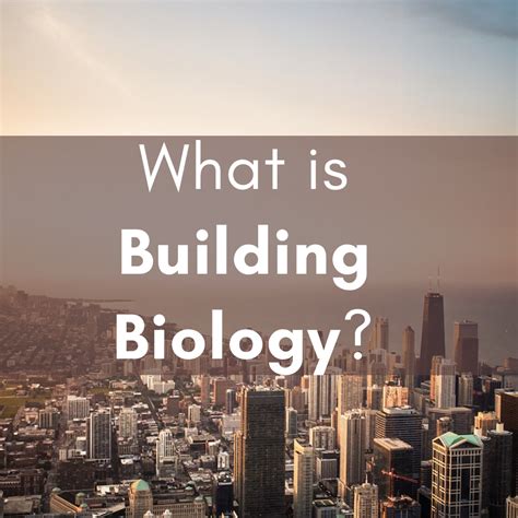What is Building Biology? - Homiie Studio