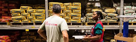 Career Progression | Lowe's Careers