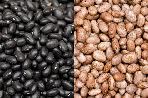 Black Beans vs Pinto Beans - Sandra Gentleman