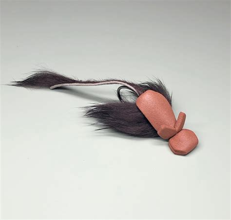 Image result for Master Splinter Fly