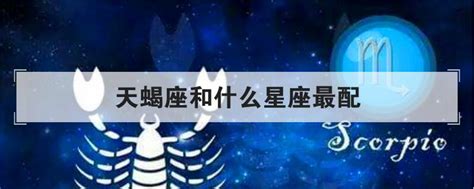 名字星座配对，12星座配对表中字母是什么意思