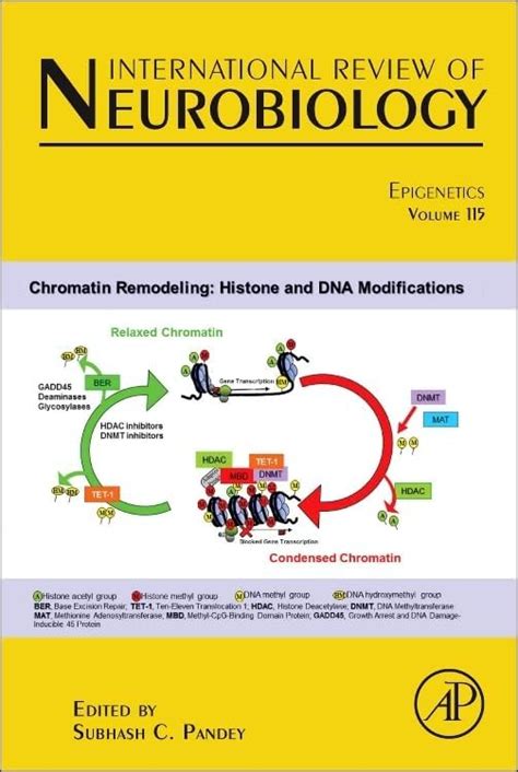 Buy International Review of Neurobiology: Epigenetics Book Online at ...