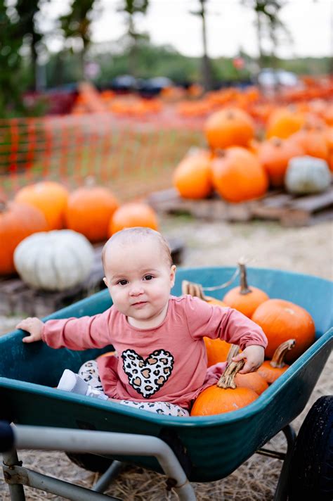 Top 5 Pumpkin Patches in Jacksonville, FL By A Family Photographer ...