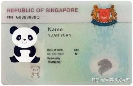 实用 | 在新加坡这些重要的卡丢了应该怎么办？ - 新加坡新闻头条