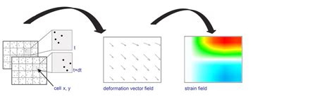 Image result for Newton-Raphson Method Vector Function