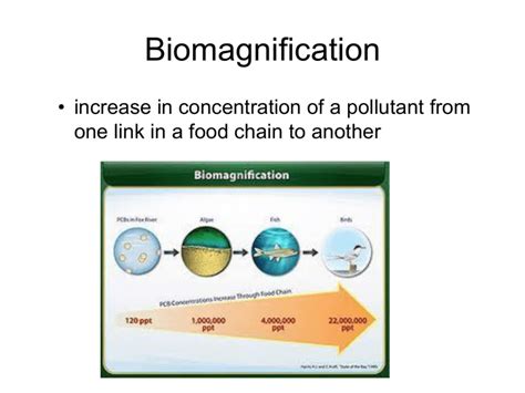 Biomagnification 的图像结果