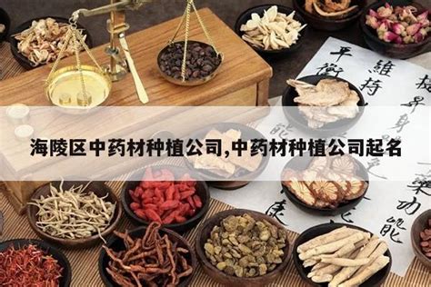 中药名称大全-起名网