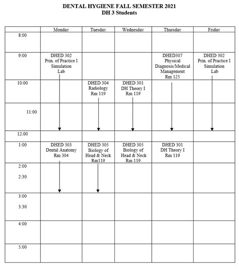 Curriculum — School of Dentistry