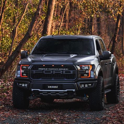 2018 F 150 Raptor - urazgard