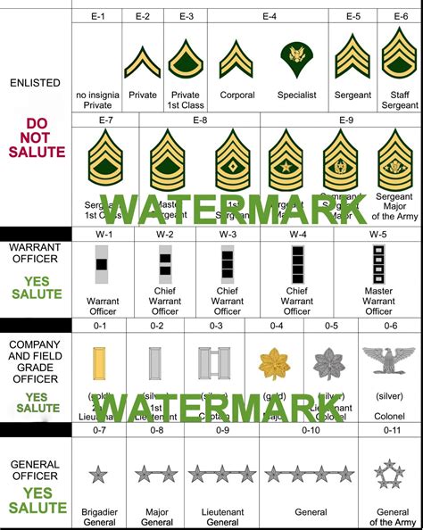 2024 UNITED STATES ARMY RANK CHART PHOTO REFERENCE ENLISTED OFFICER ALL ...