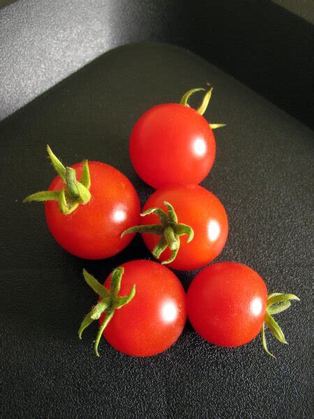 Cherry Tomato Seeds