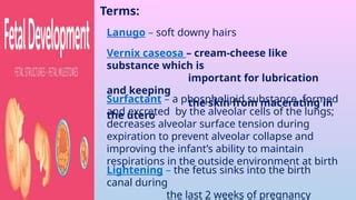 Image result for JavaScript Library jQuery