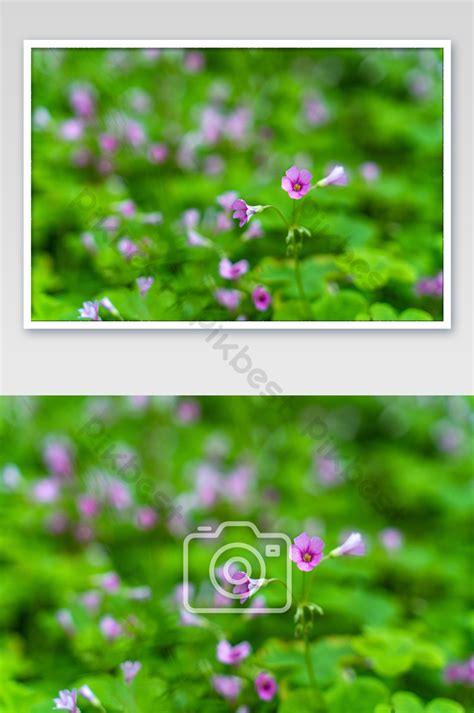 Image result for Programming Code Sample