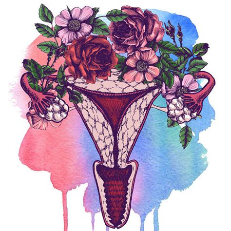 Vulva 101: Common Facts On Vulva Health Women Need To Know | Femina.in