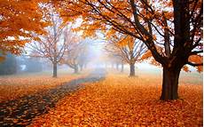 Nature High Resolution Fall Desktop Backgrounds by Nature Landscape Fall Wallpapers Hd Desktop And Mobile Nature High Resolution Fall Desktop Backgrounds