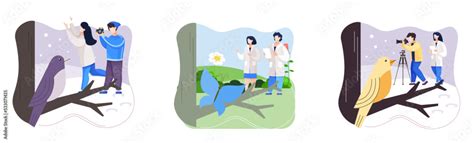 Observation 的图像结果