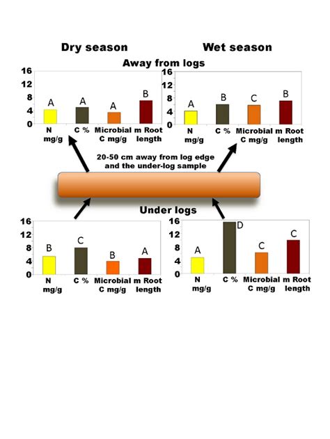 Effects of Hurricane-Felled Tree Trunks on Soil Carbon, Nitrogen ...