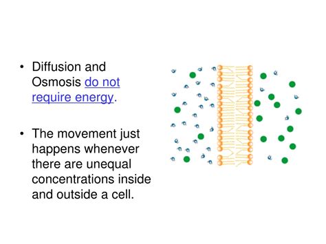 PPT - Exchange with the Environment PowerPoint Presentation, free ...