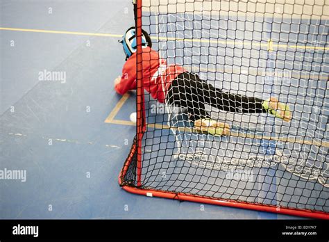 Floor Hockey 的图像结果