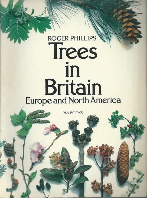 Trees in Britain, Europe and North America : Phillips, Roger: Amazon.in ...