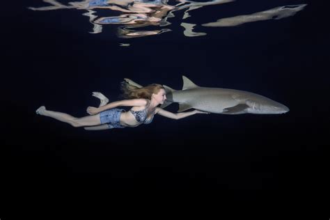 Nurse Shark Facts: Description, Habitat, and Behavior