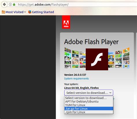 Image result for How to Install Flash