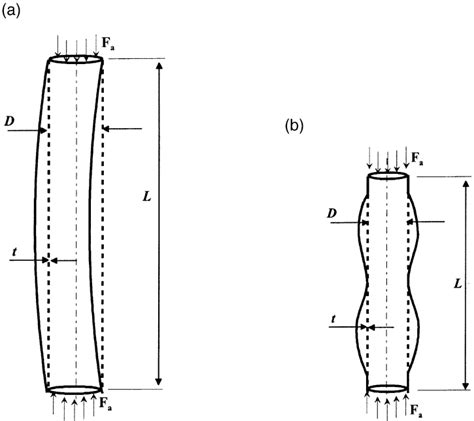 Image result for Buckling Example