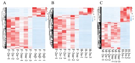 Transcription Analysis for Core Networks of lncRNAs–mRNAs: Implication ...
